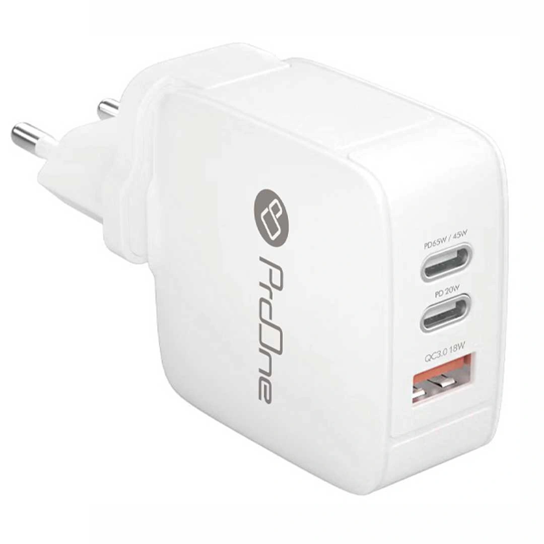 ProOne PWC565 65W 2pin Charger
